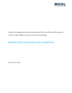 Market Entry Assurance Plan Guidelines