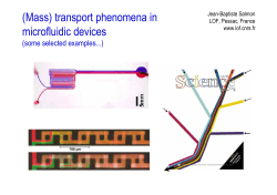 (Mass) transport phenomena in microfluidic devices