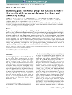 Improving plant functional groups for dynamic models of biodiversity