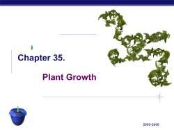 03 Plants Growth 2012
