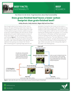 Does grass-finished beef leave a lower carbon
