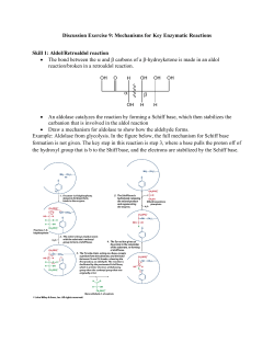 Discussion Exercise 9: Mechanisms for Key Enzymatic Reactions