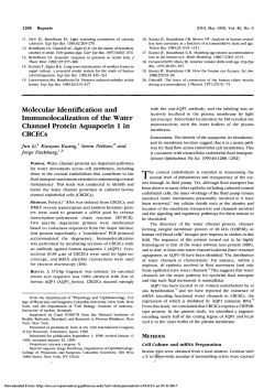 Molecular identification and immunolocalization of the water