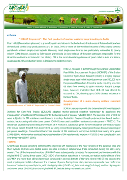 e-News &ldquo;HHB 67-Improved&rdquo;- The first product of marker