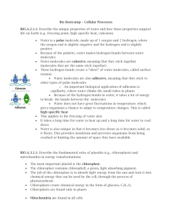 Review Guide Cellular Processes