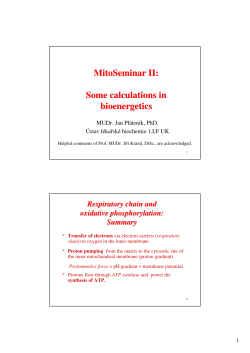 MitoSeminar II: Some calculations in bioenergetics