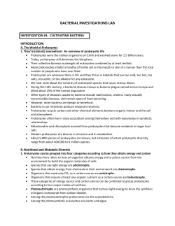 Unit 11 Bacteria Investigations Lab