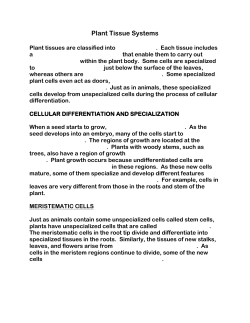 4.2 Plant Tissue Systems Student Copy