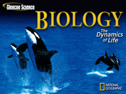 Population Growth PowerPoint