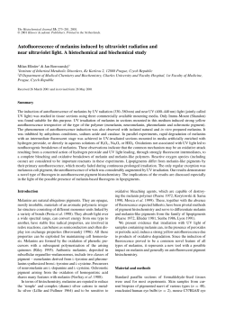 Autofluorescence of melanins induced by ultraviolet radiation and