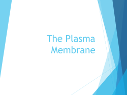 Plasma Membrane Notes - Northwest ISD Moodle
