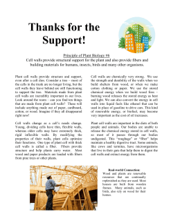 Thanks for the Support! - American Society of Plant Biologists