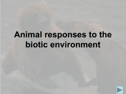 17. Intraspecific Aggression