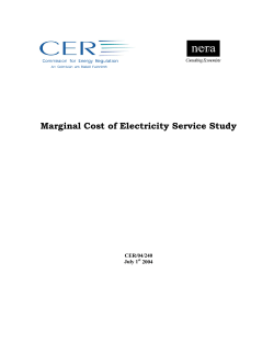 the time-differentiated marginal costs