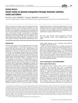 Insulin action on glucose transporters through molecular switches