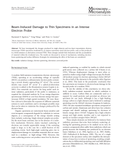 Beam-Induced Damage to Thin Specimens in an - TEM-EELS