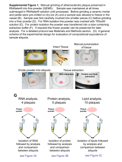Supplemental Figure 1