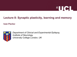 Synaptic Plasticity: Learning and Memory Ivan Pavlov