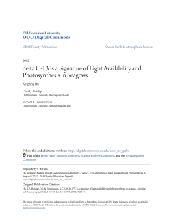 delta C-13 Is a Signature of Light Availability and Photosynthesis in