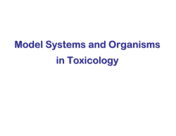 Model Systems and Organisms in Toxicology