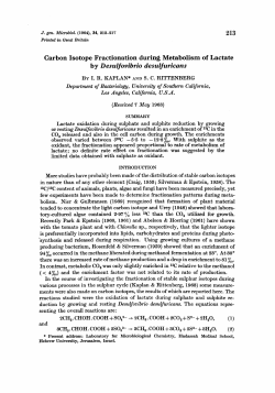 Carbon Isotope Fractionation during Metabolism of