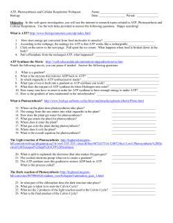 ATP, Photosynthesis and Cellular Respiration Webquest