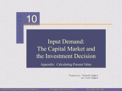 Input Demand: The Capital Market and the Investment Decision