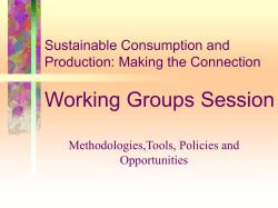 Sustainable Consumption and Production: Making the Link Working