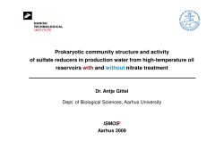 Prokaryotic community structure and activity of sulfate reducers in