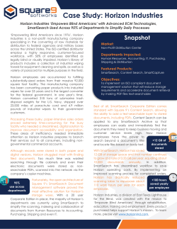 Case Study: Horizon Industries