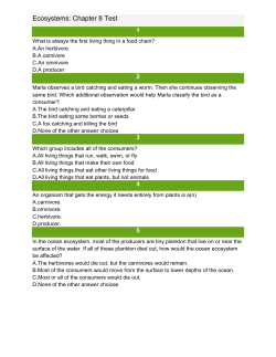 Chapter 8 Test English