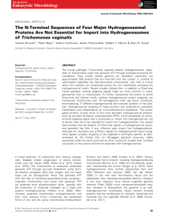 The NTerminal Sequences of Four Major Hydrogenosomal Proteins