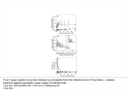 Sugar uptake and proton release by protoplasts from the infected