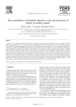 The contribution of halophilic Bacteria to the red coloration of saltern