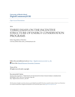 three essays on the incentive structure of energy conservation