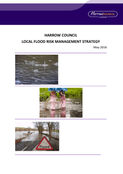 Local Flood Risk Management Strategy