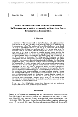 Studies on hitherto unknown fruits and seeds of some