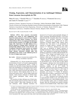 Cloning, Expression, and Characterization of an Antifungal
