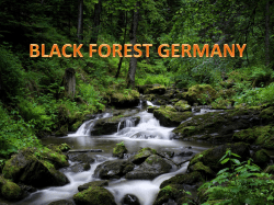 black forest germany