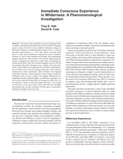 Immediate Conscious Experience in Wilderness