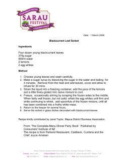 Four dozen young blackcurrant leaves 375g sugar 500ml water 2