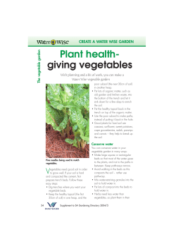 Plant health- giving vegetables