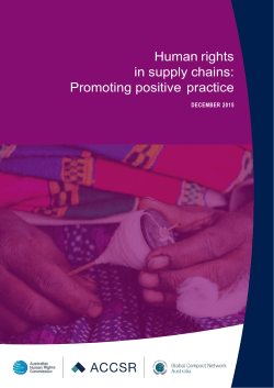 docx of "Human rights in supply chains: Promoting