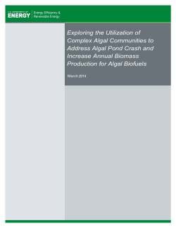 Exploring the Utilization of Complex Algal Communities to Address