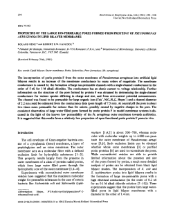 298 Elsevier/North-Holland Biomedical Press BBA 79342
