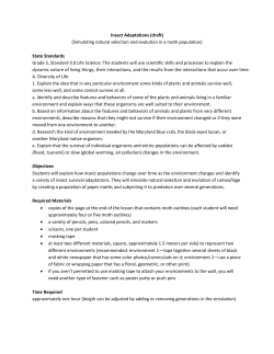 Insect Adaptation Lesson - University of Maryland Extension