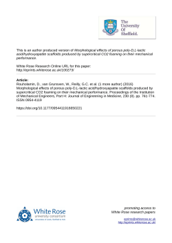 Morphological effects of porous PDLLA/HA scaffolds produced by
