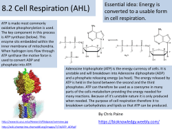 8.2 Cell respiration