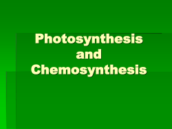 Photosynthesis and Chemosynthesis Notes