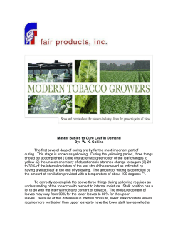 Master Basics to Cure Leaf in Demand By